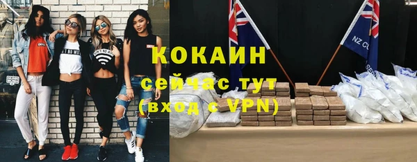 МДПВ Алзамай